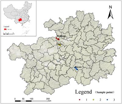 Bacterial composition and physicochemical characteristics of sorghum based on environmental factors in different regions of China